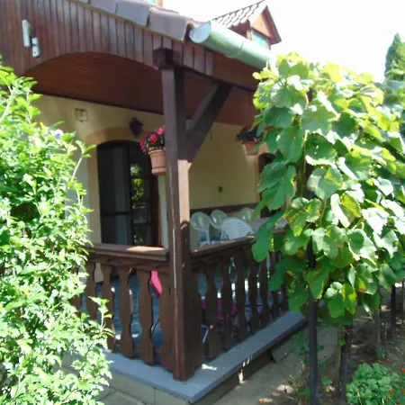 Fenyo Vendeghaz Case de vacanță